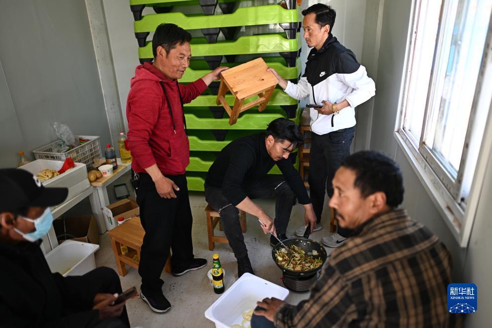 金鲨鱼银鲨鱼